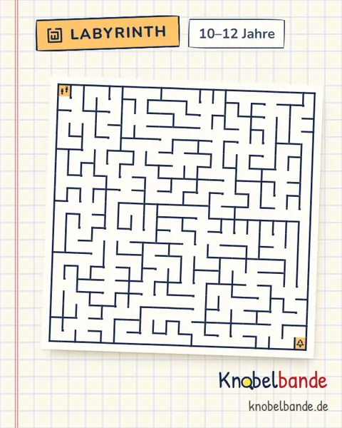 Labyrinth 20×20 Nr. 1: Der Weg zum Tannenbaum für Kinder ab 10, schwer, zum Ausdrucken