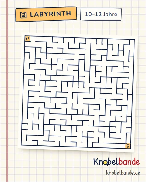 Labyrinth 20×20 Nr. 7: Die zündende Idee für Kinder ab 10, schwer, zum Ausdrucken